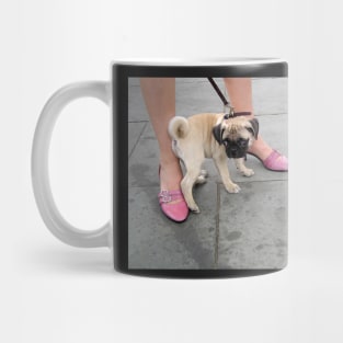 A cute puppy pug between a woman's legs in pink shoes Mug